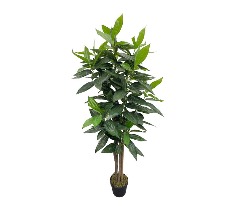 Plante Artificielle Cassia Kori 145x40x40 Peva Bois Vert Marron