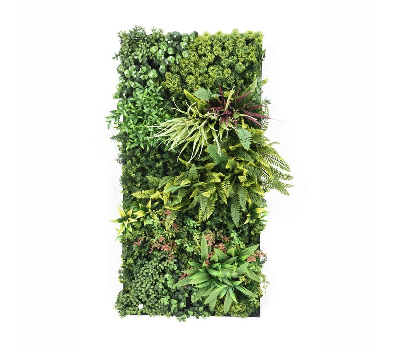 Flora - Tableau Végétal 100x50 Cm Feuilles Fleurs Pe Cadre Noir