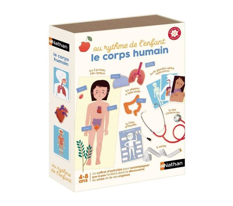 Le Corps Humain   Jeux D'apprentissage