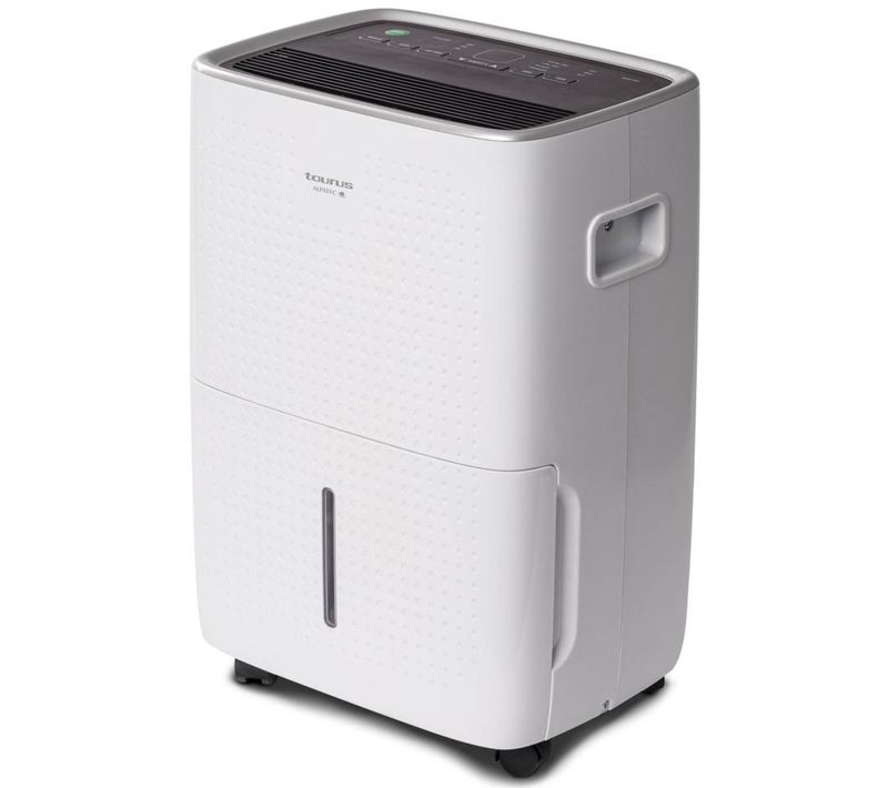 Déshumidificateur d'air - Dh300