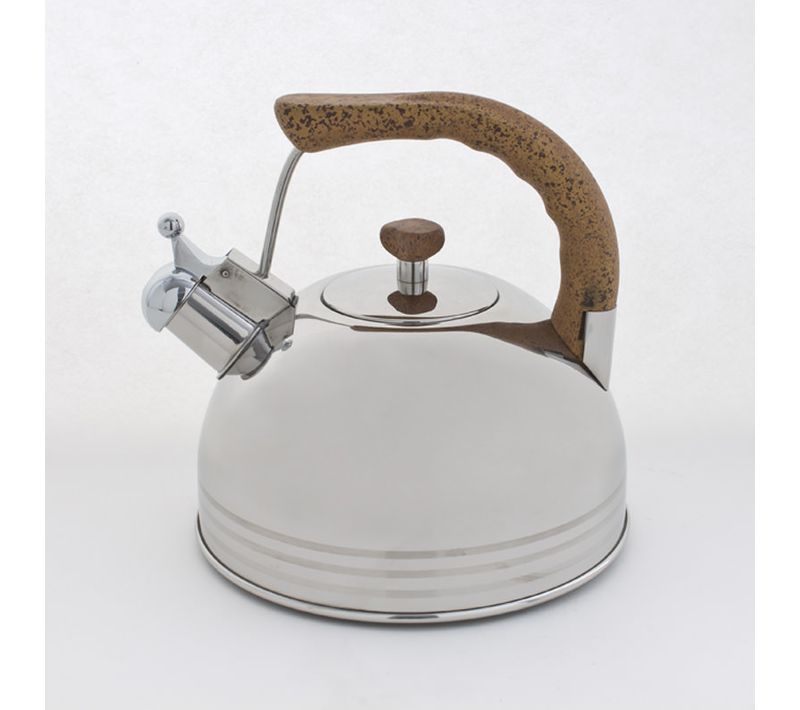 Bouilloire Sifflante 4 Litres