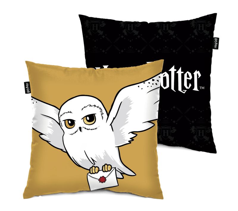 Coussin - Harry Potter - 40x40 Cm
