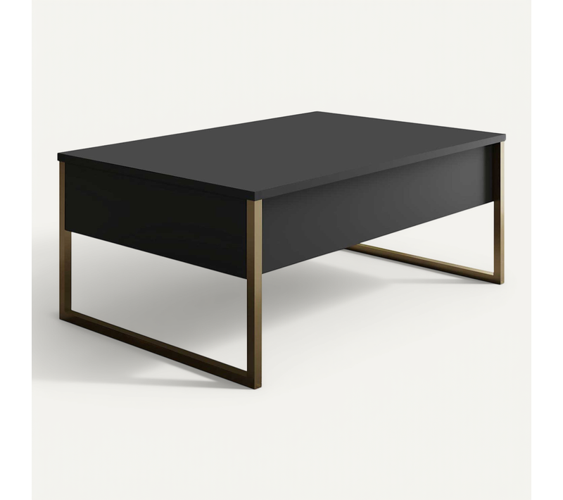 Luxe C Table Basse - 100 % Mélamine - Anthracite, Or