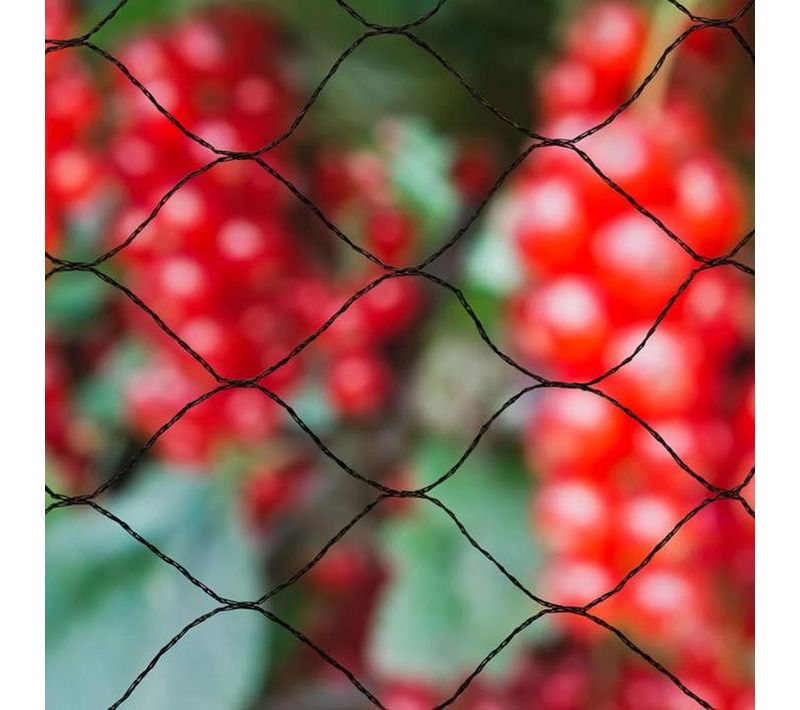 Filet Anti-oiseaux 10 X 10 M – Maille 28 Mm, Pe Anti-uv Réutilisable