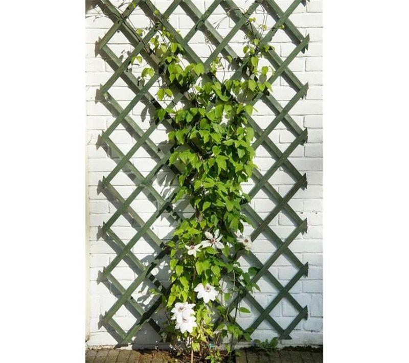 Treillis Extensible Mural 50 X 150 Cm Vert - Fsc, Lattes 18 X 6 Mm