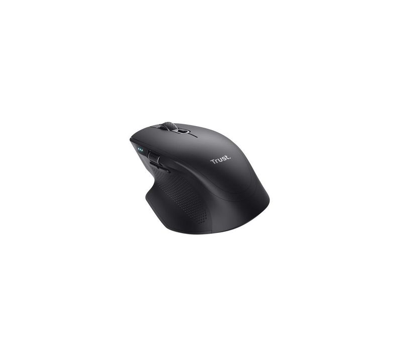 Souris Trust 24820