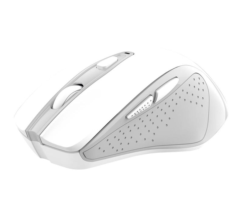 Souris Trust 25550