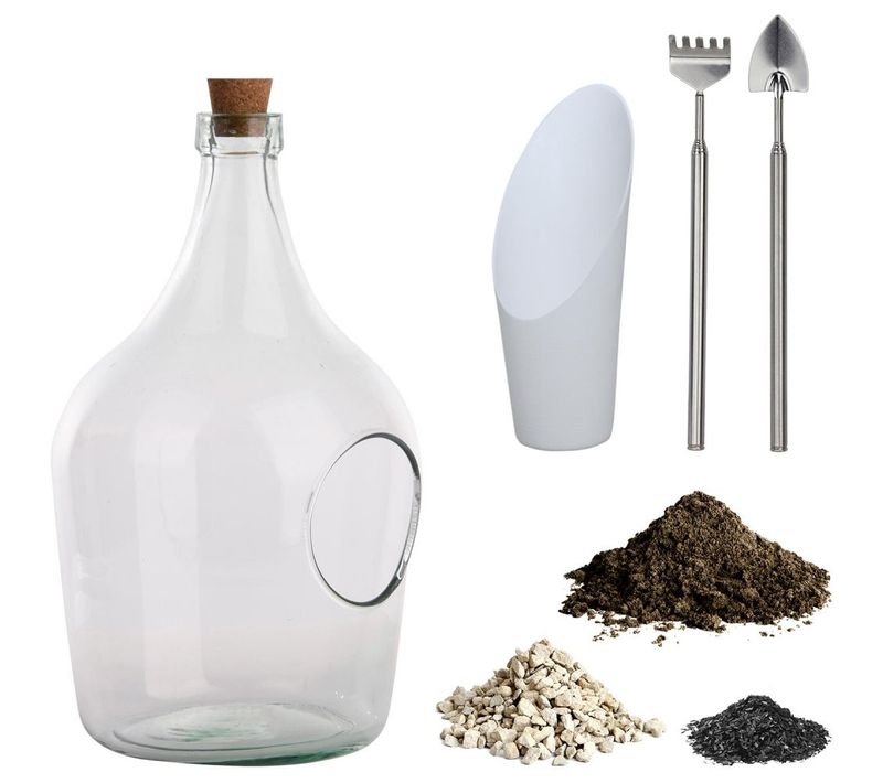 Kit Terrarium Végétal à Faire Soi-même Diy 3 Litres