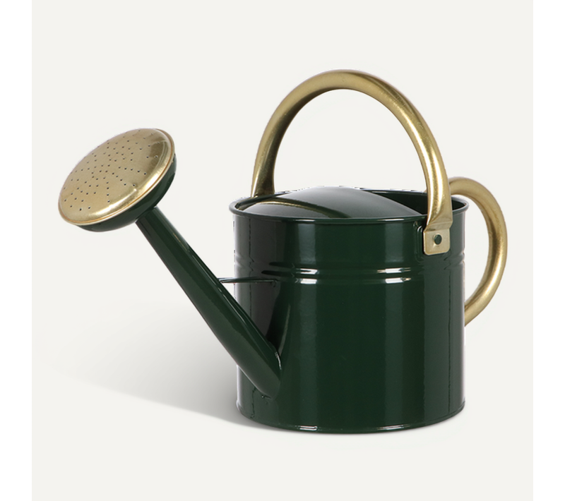 Arrosoir Anse Ronde - Vert - Taille S - L 49,5 X P 23,5 X H 26 Cm