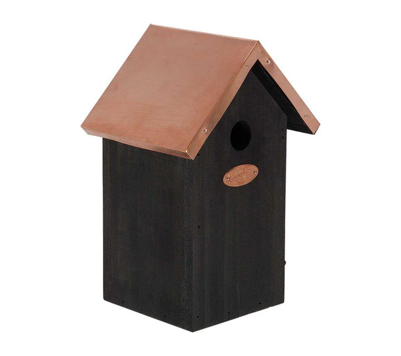 Nichoir à Oiseaux En Pin Et Cuivre Mésange Bleue