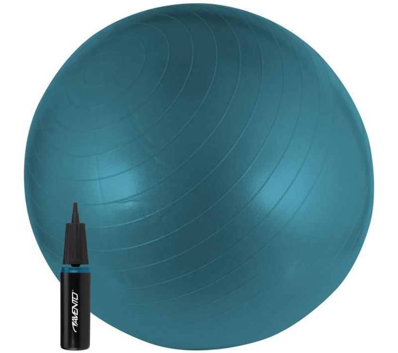 Swiss Ball Avec Pompe M 65 Cm Bleu