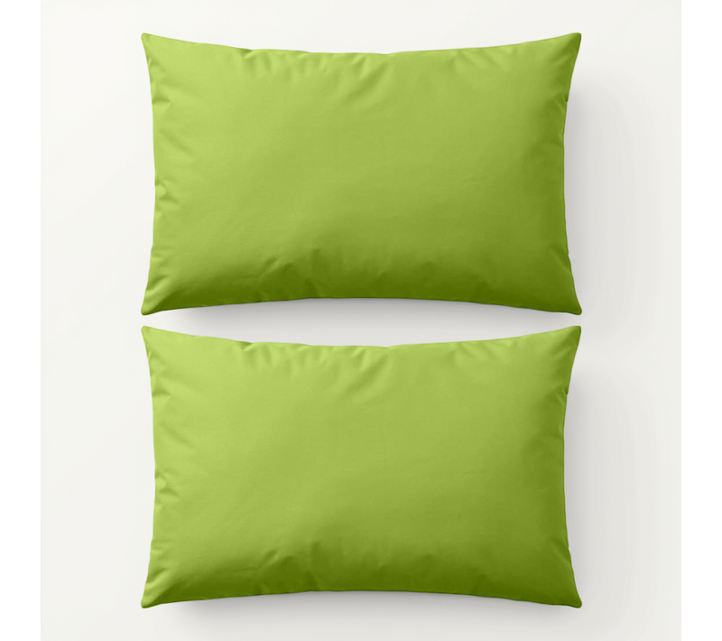 Oreiller D'extérieur Lot De 2 60 X 40 Cm Vert Pomme