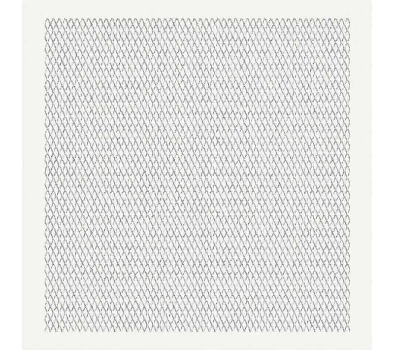 Panneau De Grillage De Jardin Acier Inox 100x85 Cm 20x10x2 Mm