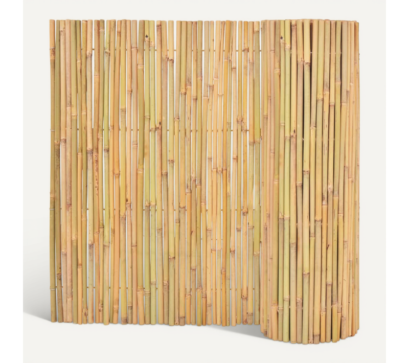 Clôture Bambou 300 X 100 Cm