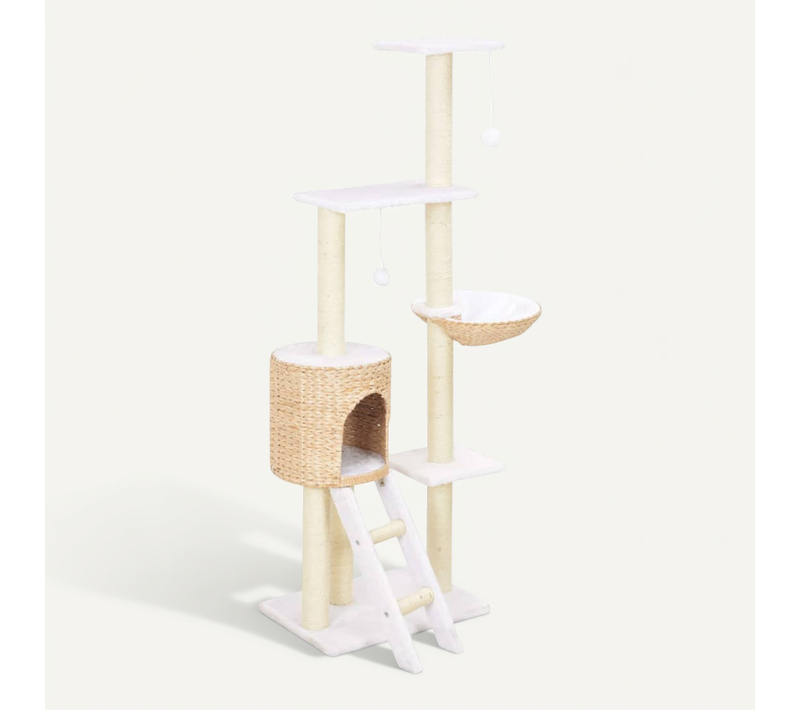 Arbre À Chat Avec Griffoirs En Sisal Herbiers Marins