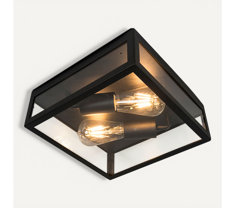 Plafonnier D'extérieur Industriel Noir 2 Lumières - Rotterdam