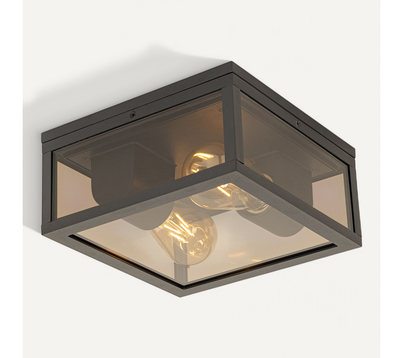 Plafonnier Noir Avec Verre Fumé 2 Lumières Ip44 - Charlois