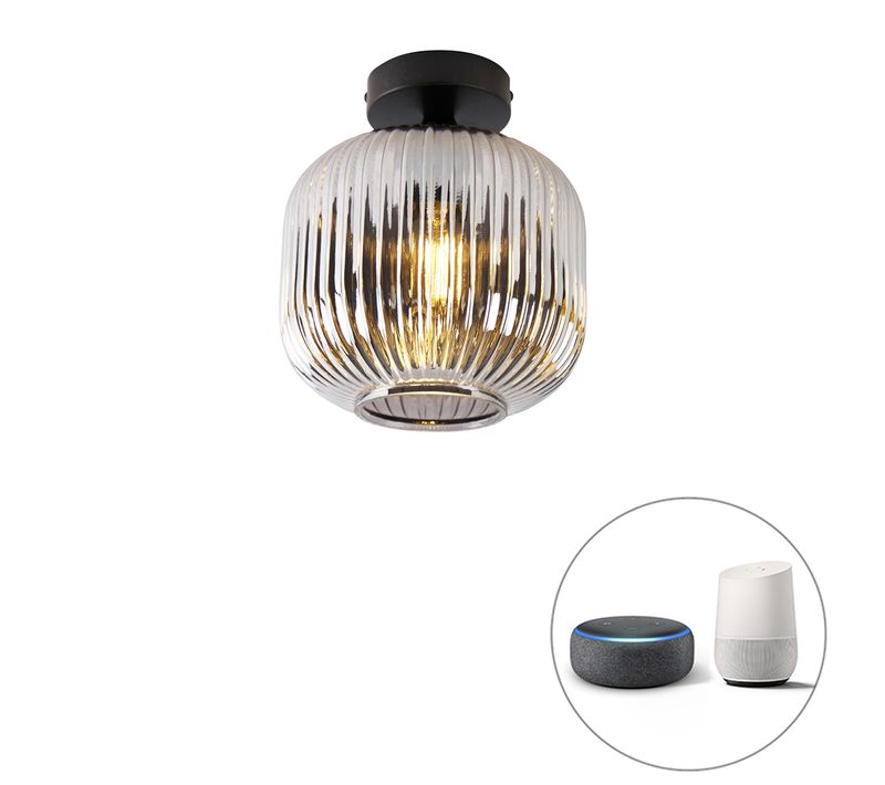 Plafonnier Intelligent Noir Avec Verre Fumé Avec Wifi A60 - Karel