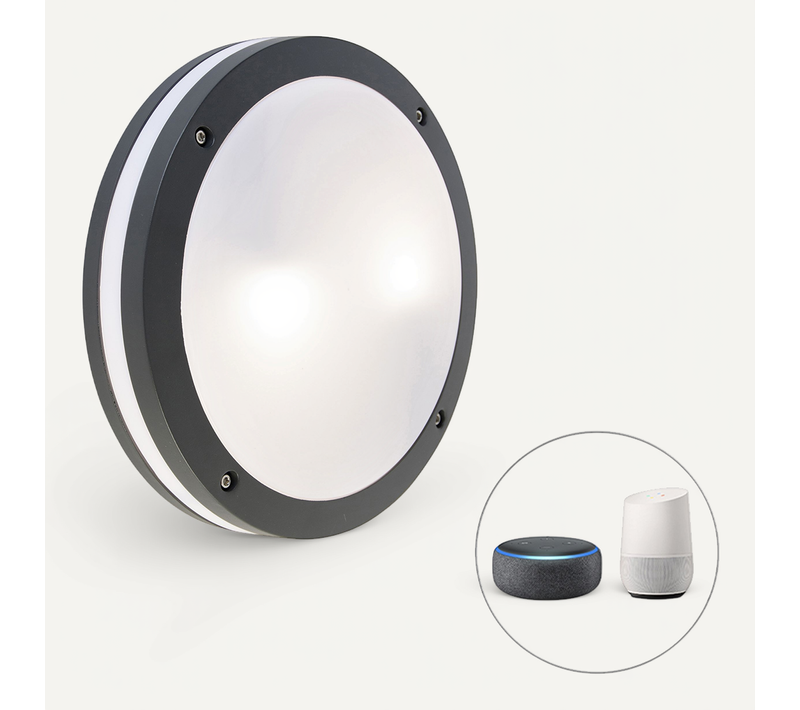 Applique Et Plafonnier Intelligent Gris Foncé Avec Wifi A60 - Glow