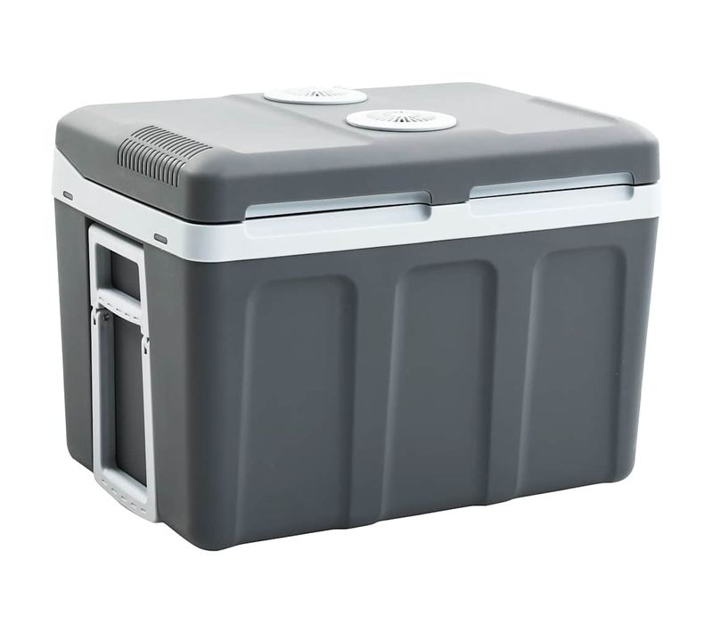 Glacière Portable Thermoélectrique 40 L 12 V 230 V E