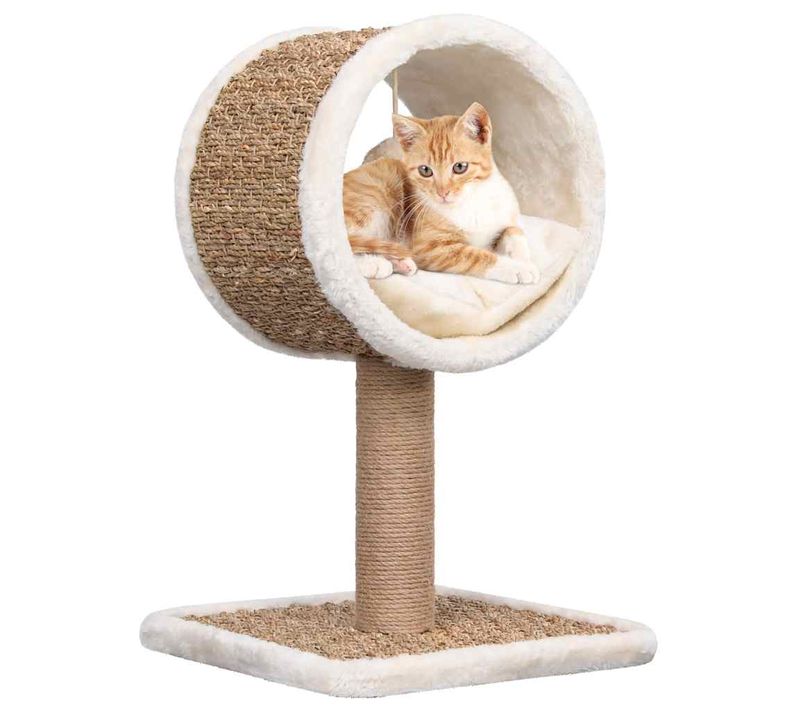Arbre à Chat Et Tunnel Supérieur Et Jouet 56 Cm Herbiers Marins