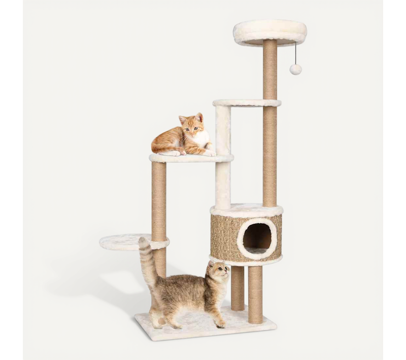 Arbre À Chat Coussin De Luxe Et Grattoir 148 Cm Herbiers Marins