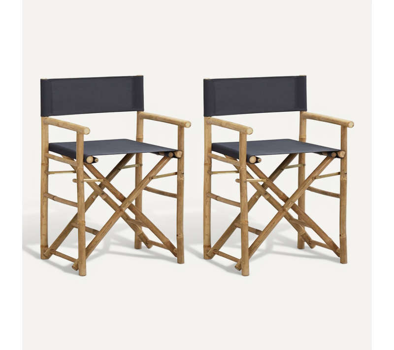 Chaises Pliables De Directeur Lot De 2 Gris Foncé Bambou Tissu