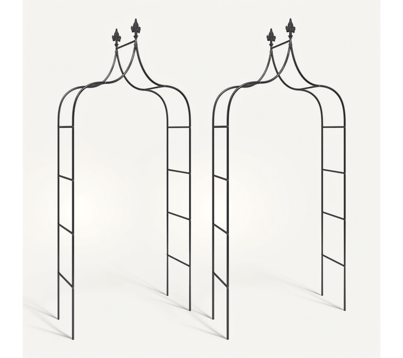 Arches De Jardin Avec Pinacles Gothiques et Revêtement Anti-rouille 2 Pièces 120x38x260 Cm Acier