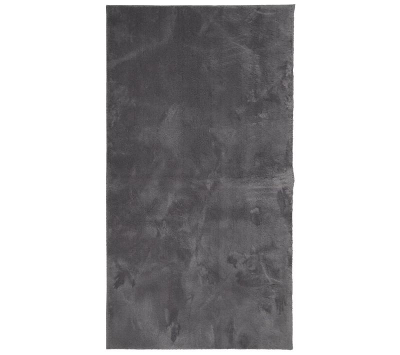 Tapis Huarte À Poils Courts Doux Et Lavable Anthracite 80x150cm