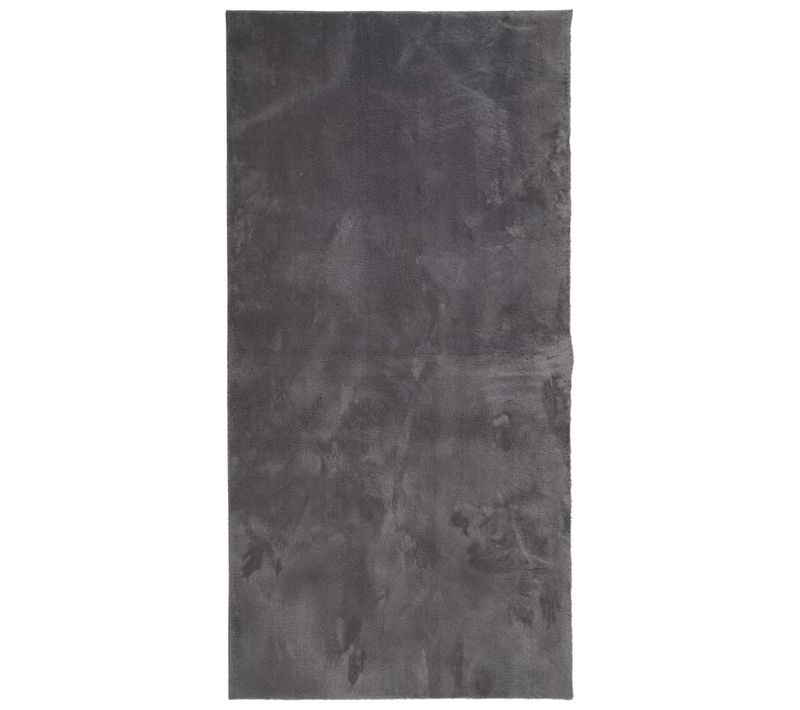 Tapis Huarte À Poils Courts Doux Lavable Anthracite 100x200 Cm