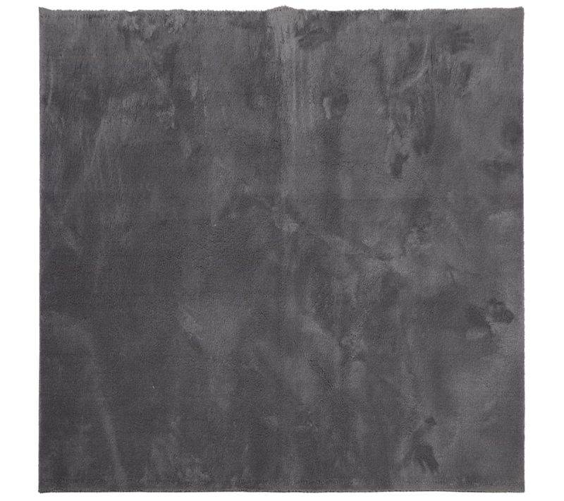 Tapis Huarte À Poils Courts Doux Lavable Anthracite 120x120 Cm