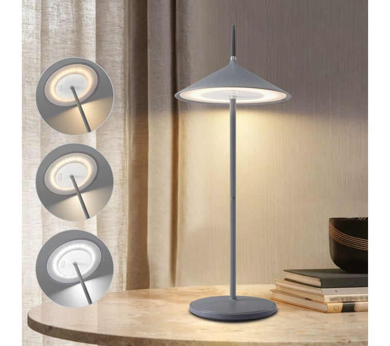 Lampe à Poser De Table LED Intensité Variable Table D'extérieur Moderne Pour Jardin Gris