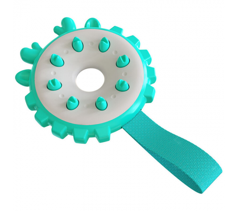 Fournitures Pour Animaux De Compagnie : Brosses à Dents, Bâtons De Dentition, Anneaux De Frisbee