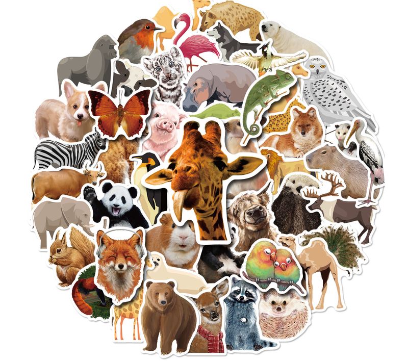 50 Reusable Stickers Inspired By Nature (eye Like Stickers), Multicolour