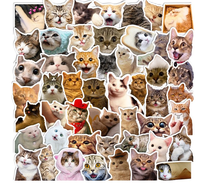 50 Autocollants Chat De Chat Mignons Autocollants Kawaii Étanches En Vinyle Stickers De Chat