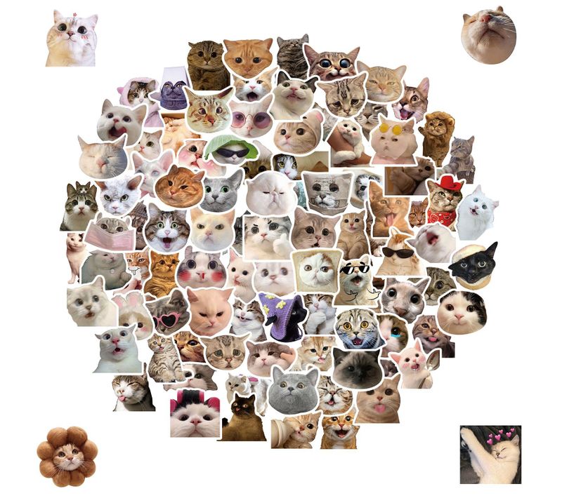 100 Autocollants Chat De Chat Mignons Autocollants Kawaii Étanches En Vinyle Stickers De Chat