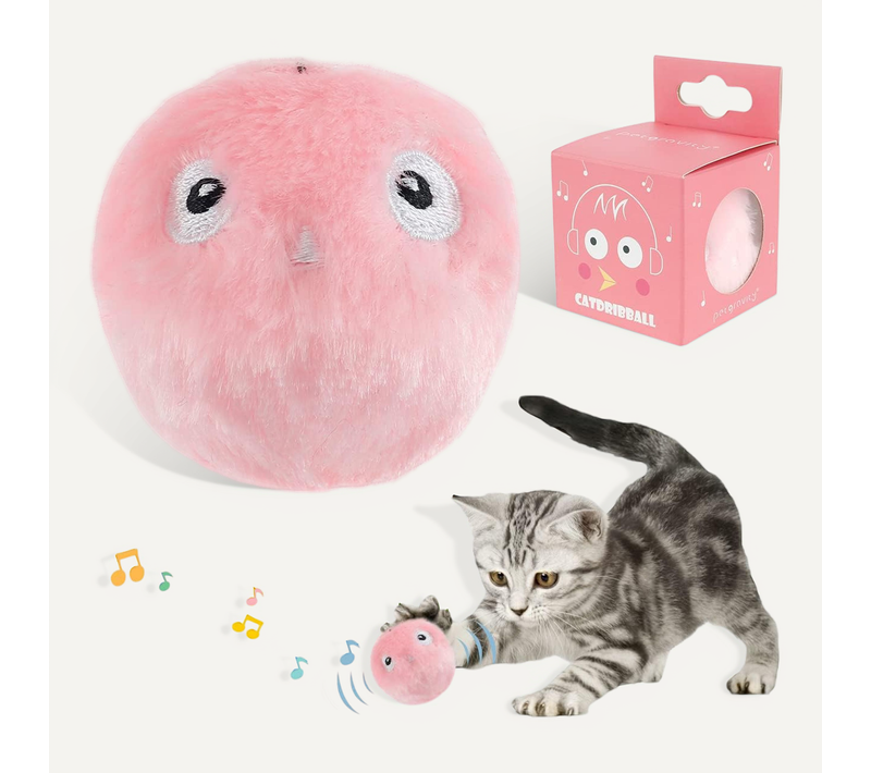 Jouet Interactif Pour Chat Avec Oiseau, Grenouille Et Cricket, Poursuite En Peluche Pour Chat