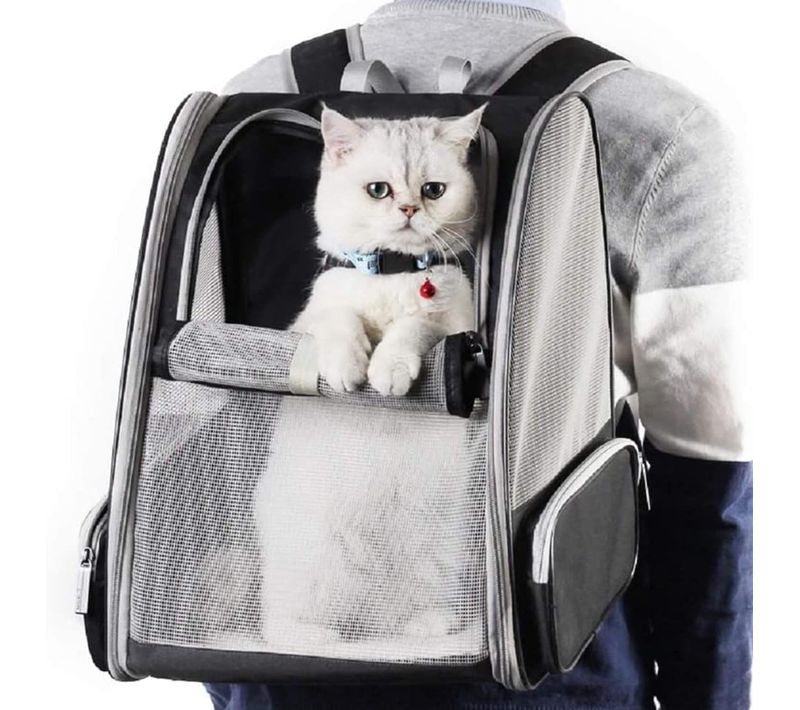 Noir - Sac De Transport Pour Chats Et Petits Chiens 7,5 Kg, Sac à Dos En Maille Respirante