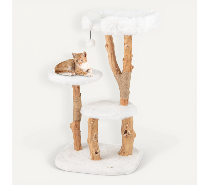 Arbre à Chat En Bois Massif Tour Pour Chat En Bois Avec Perchoir Poteaux à Gratter En Jute Naturel