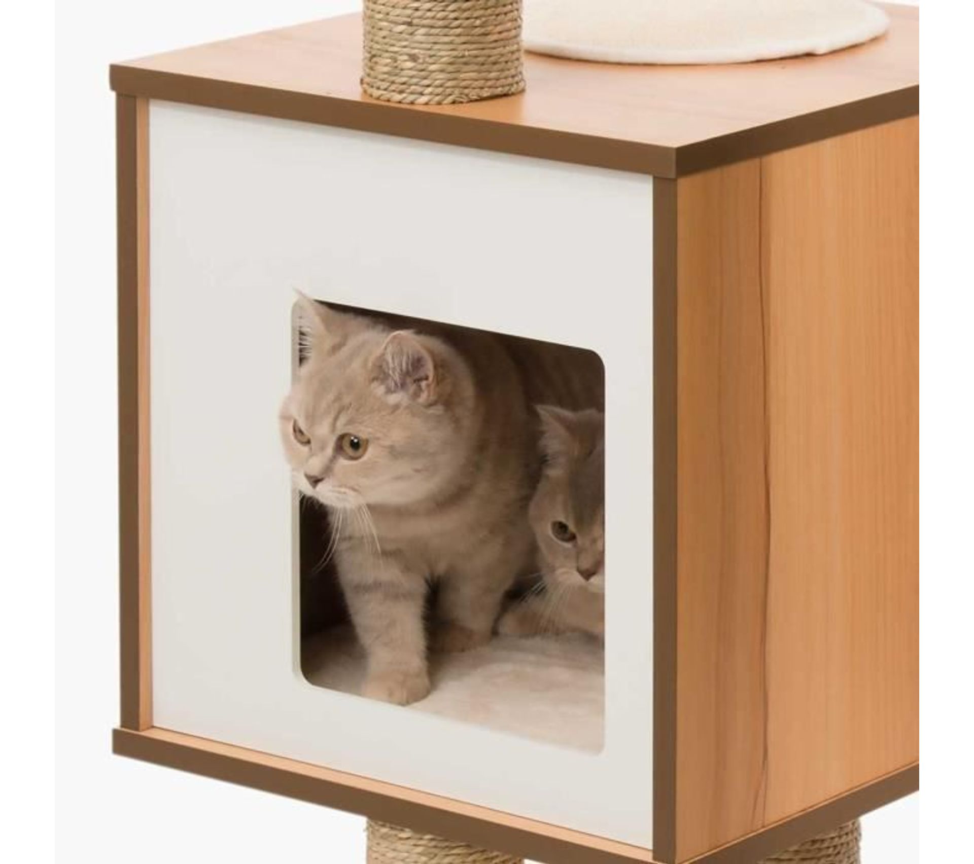 Chat Bague De Lecture En Bois - Porte-page Lisse Pour Lecture à Une Main, Supporte Gravure Personnalisée, Idéal Cadeau Pour Amoureux Des Livres (couleur Brun Clair)