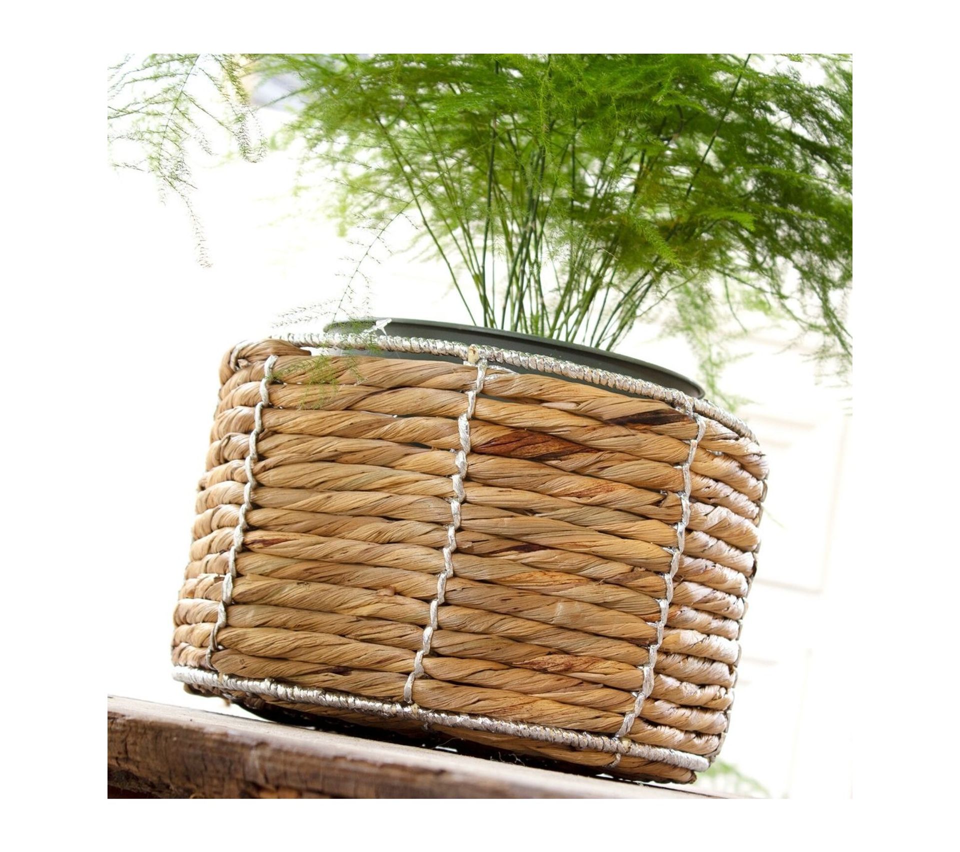 Panier En Jacinthe D