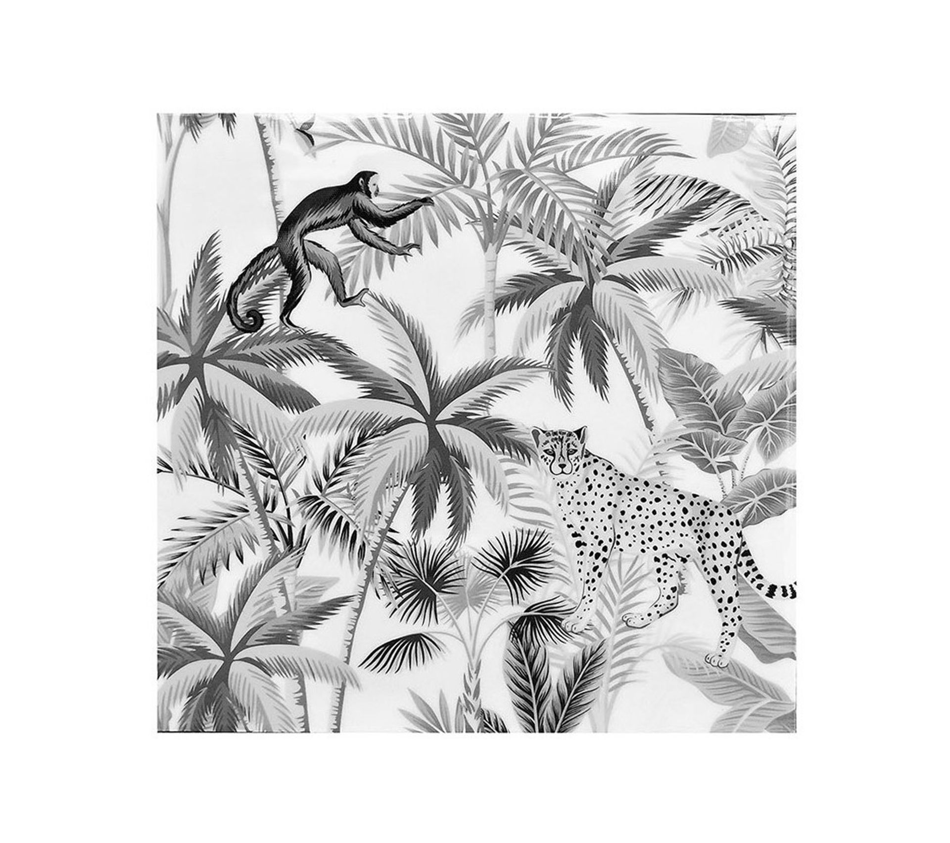 Ensemble De 4 Tableaux Sur Toile Imprimée 28x28 Cm Amazone - Tableau ...