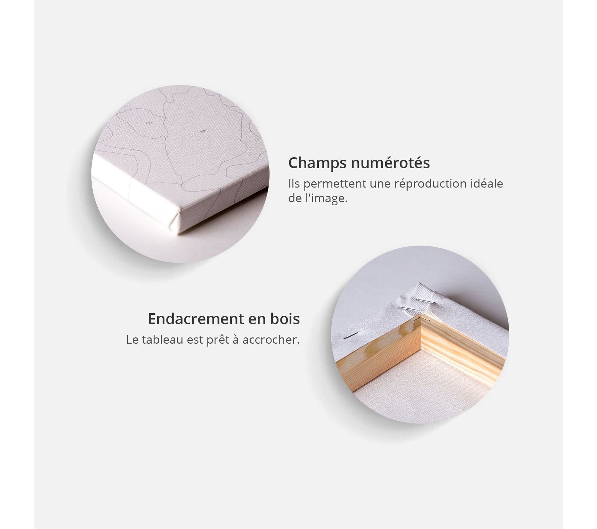 Tableau A Peindre Carte Du Monde Avec Rose Des Vents 40 X 40 Cm Peinture But