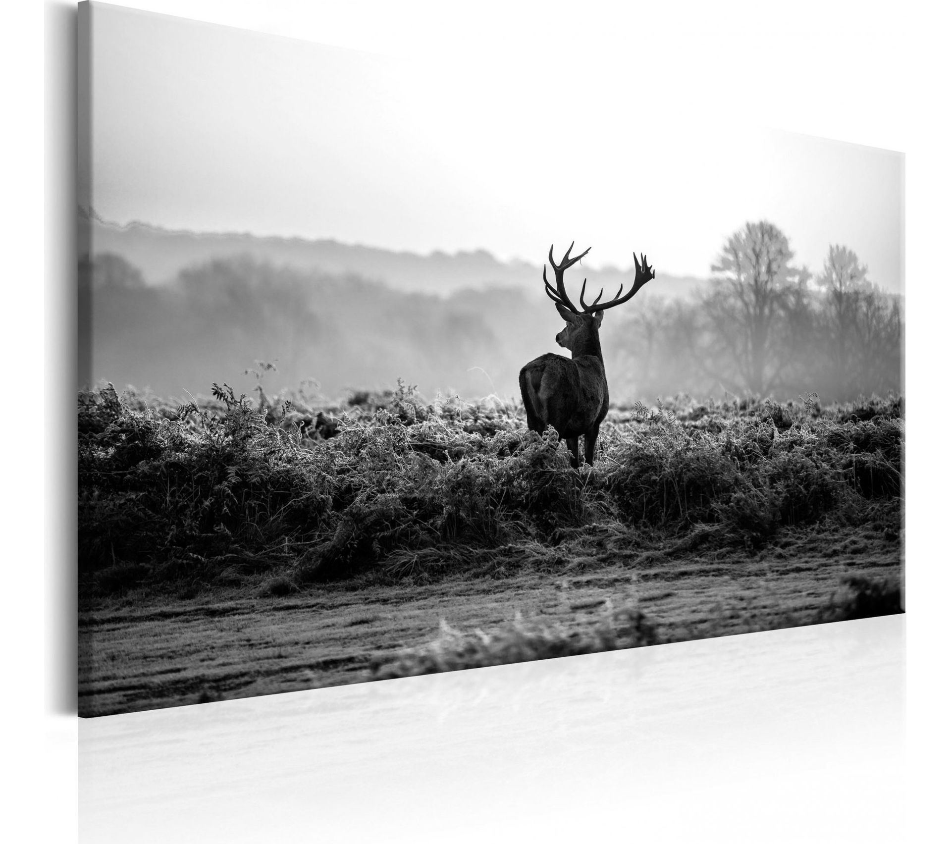 tableau animaux sauvages noir et blanc