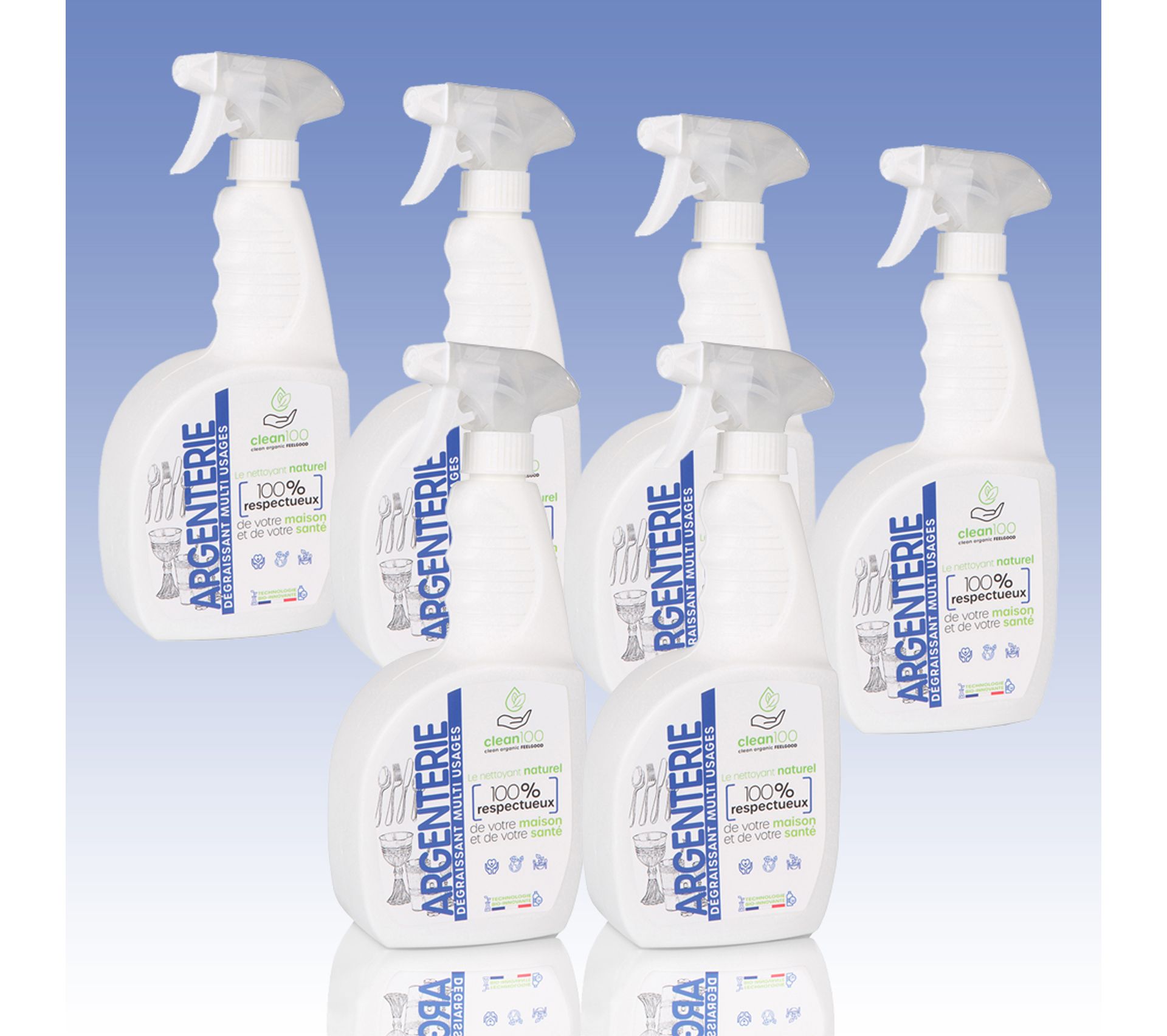 Nettoyant Liquide Special Argenterie Cuivre Et Inox Sprayer 750ml X6 Produit d