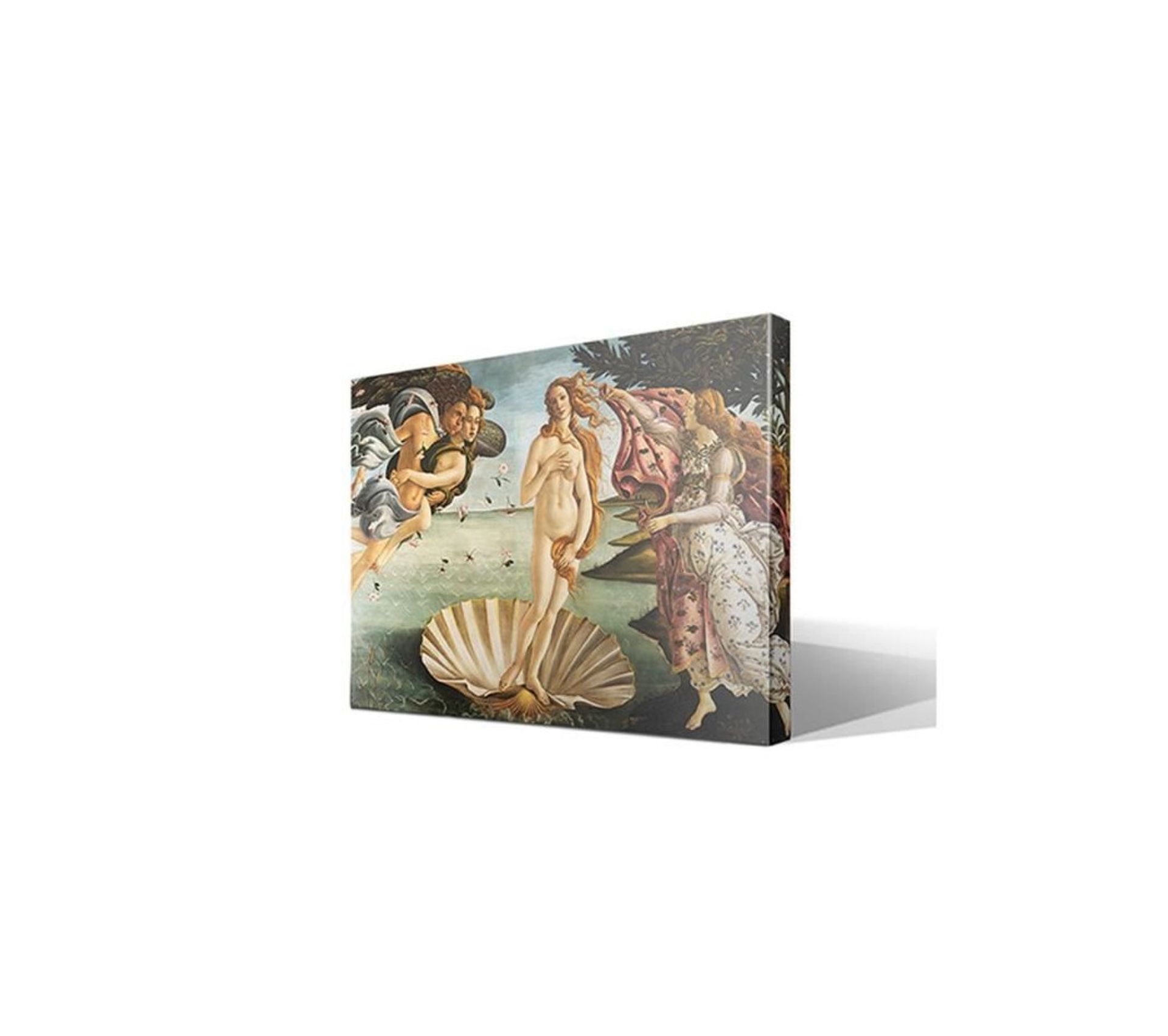 Tableau La Naissance De Vénus Sandro Botticelli 75 X 55 Cm Tableau