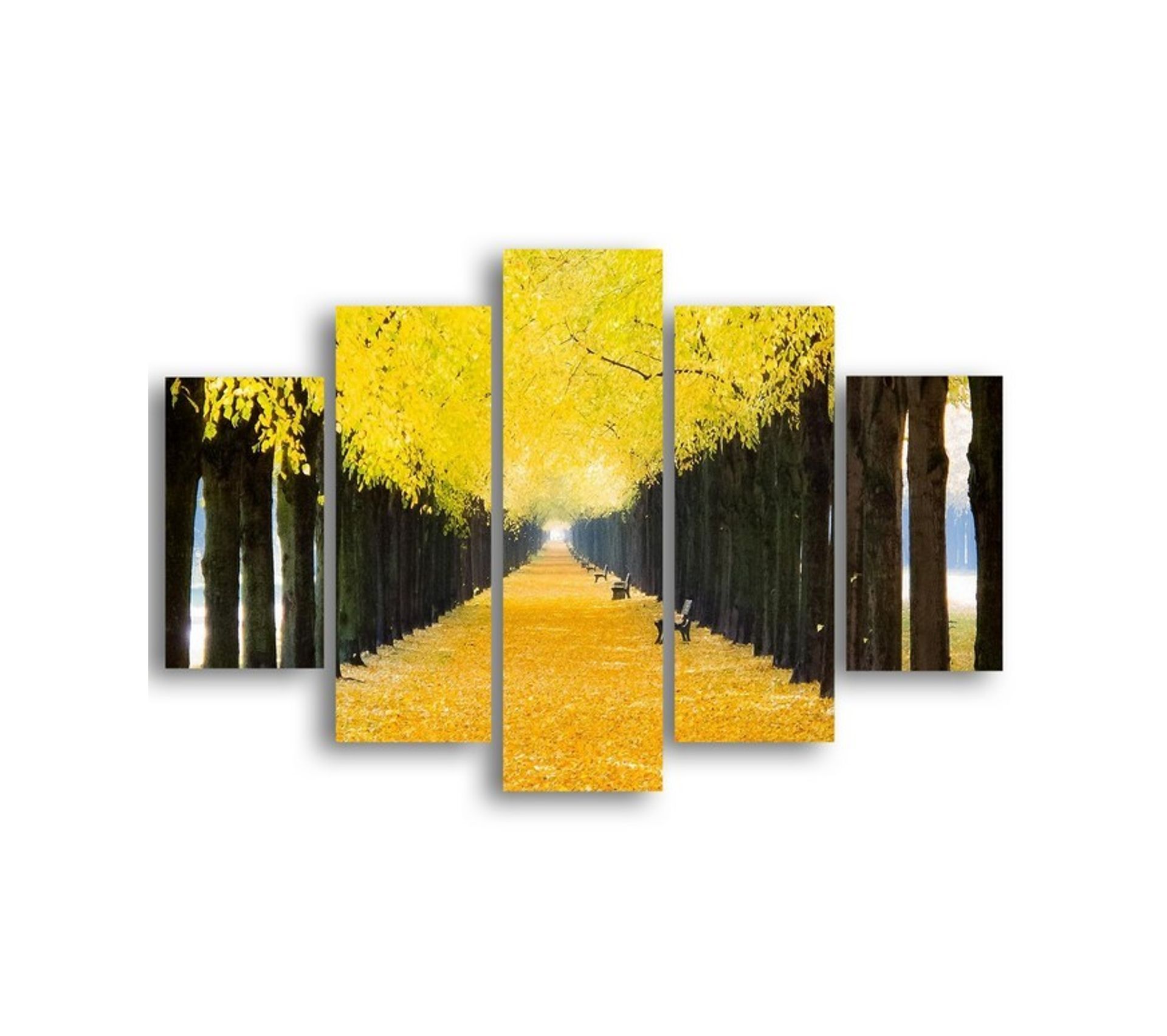 allée bordée d arbres en 5 lettres